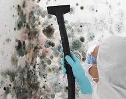 Best Commercial Mold Inspection in Wellston, OH